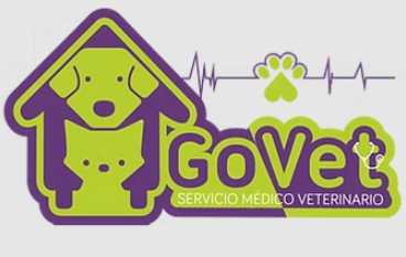 GoVet